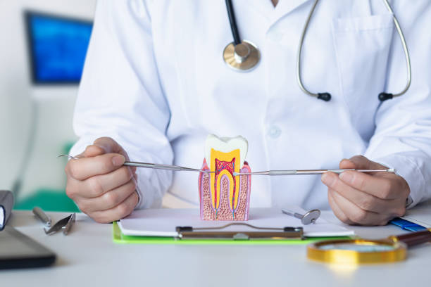 Best Emergency Root Canal Treatment in Woodmoor, CO